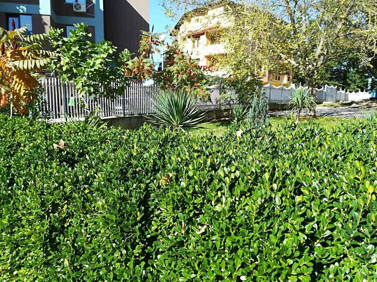 Hotel Park 1 Kiten  Exterior foto